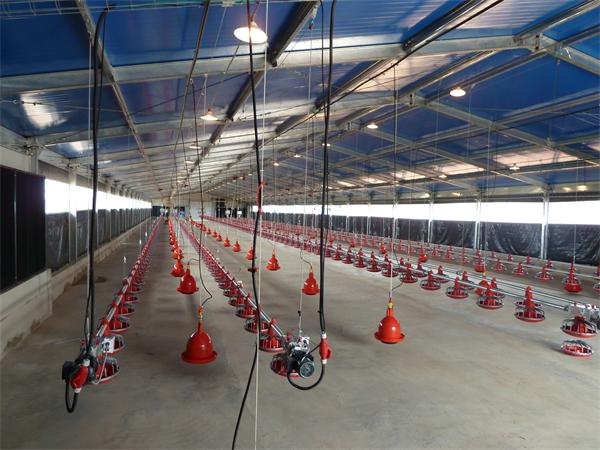 Prefabricated steel structure poultry farm for broiler