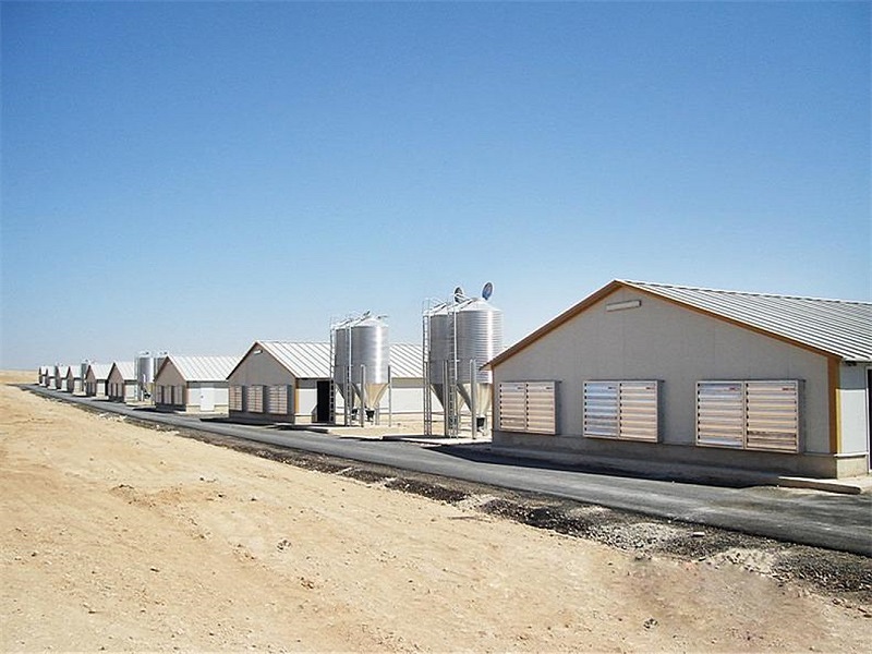 Prefabricated steel structure poultry farm for broiler