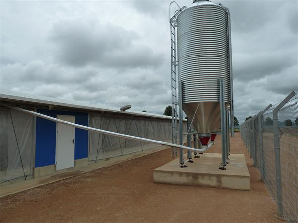 Steel structure broiler chicken farm for 15000 birds