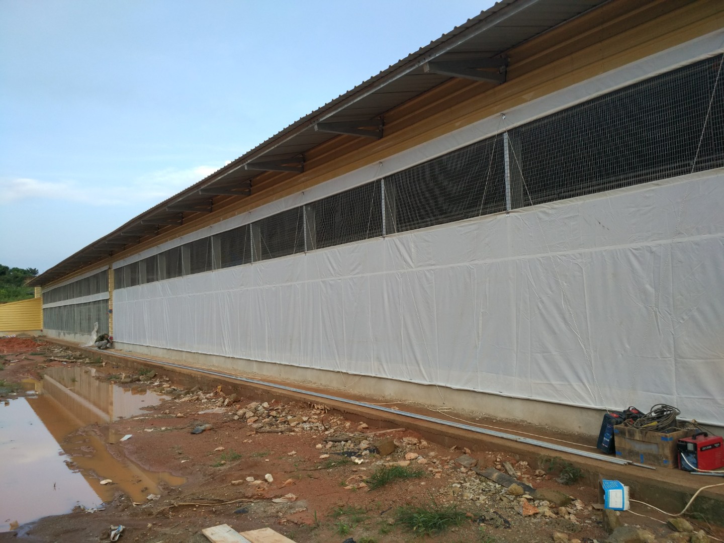 Steel poultry farming shed for 50000 Layer chickens