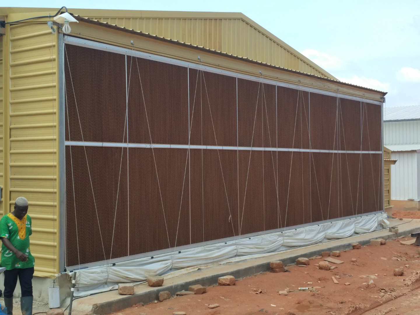 Steel poultry farming shed for 50000 Layer chickens