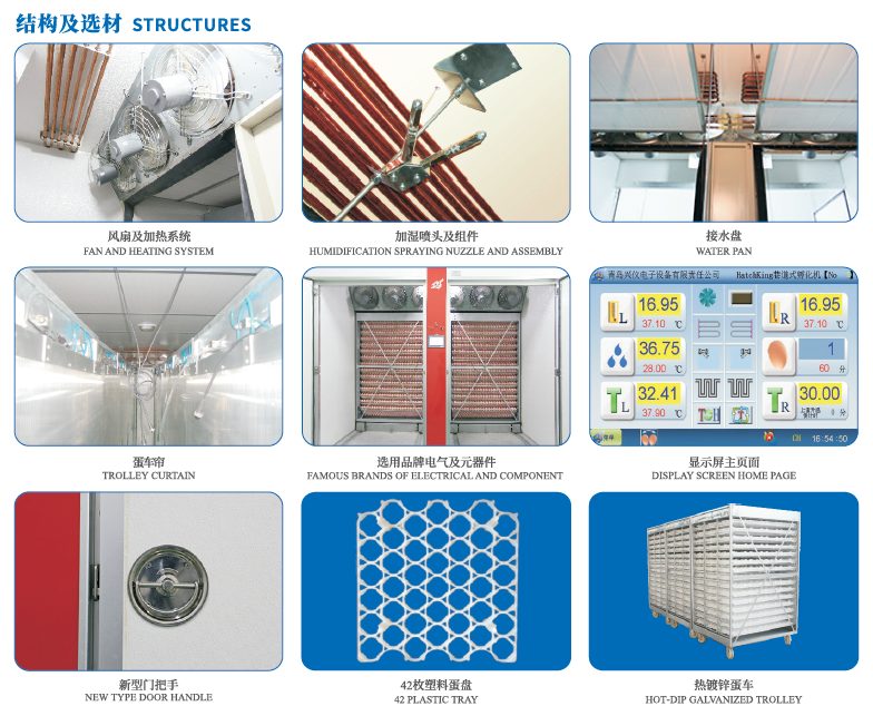 Prefabricated steel workshop for hatchery center together with fully automatic incubator