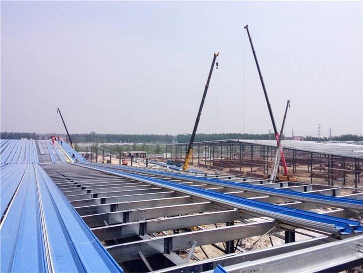 Steel Structure Building