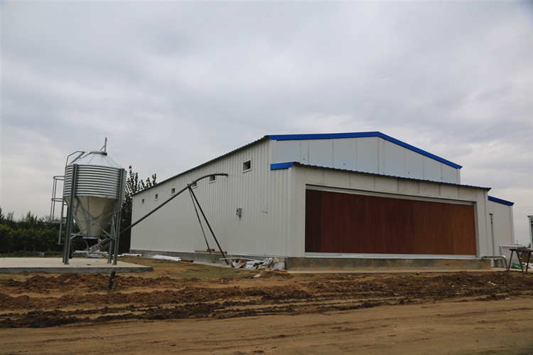 steel shed Multistory Q275 Steel for logistics warehouse