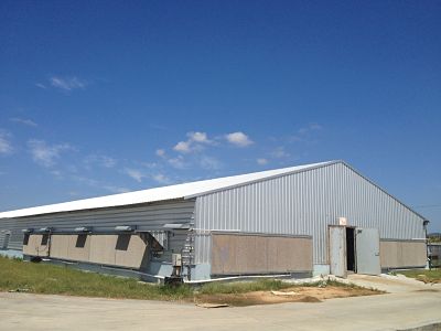 steel hangar Pre-engineered Gr50 Steel for water plant